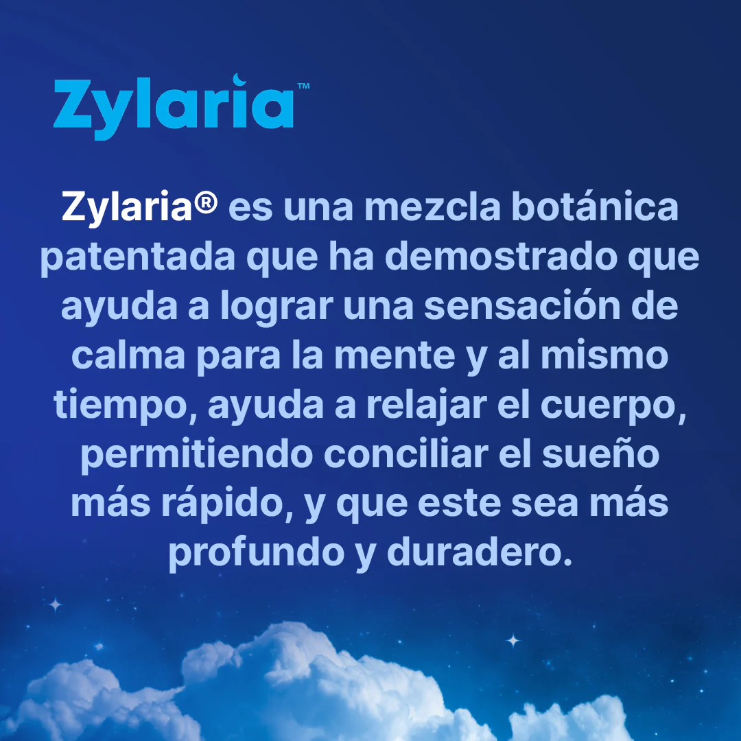 Buenas Noches - Image 7
