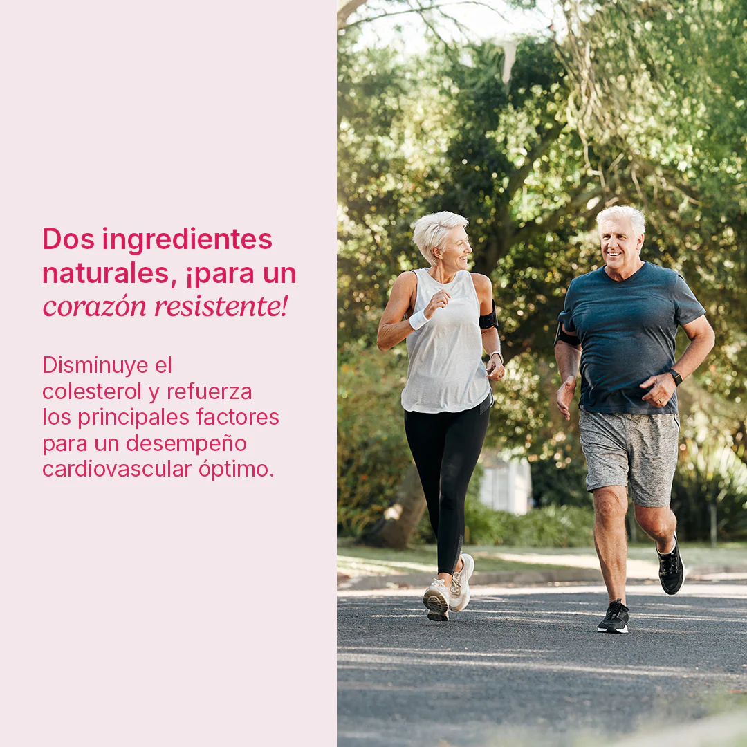 Cholesterol Plus - Image 4