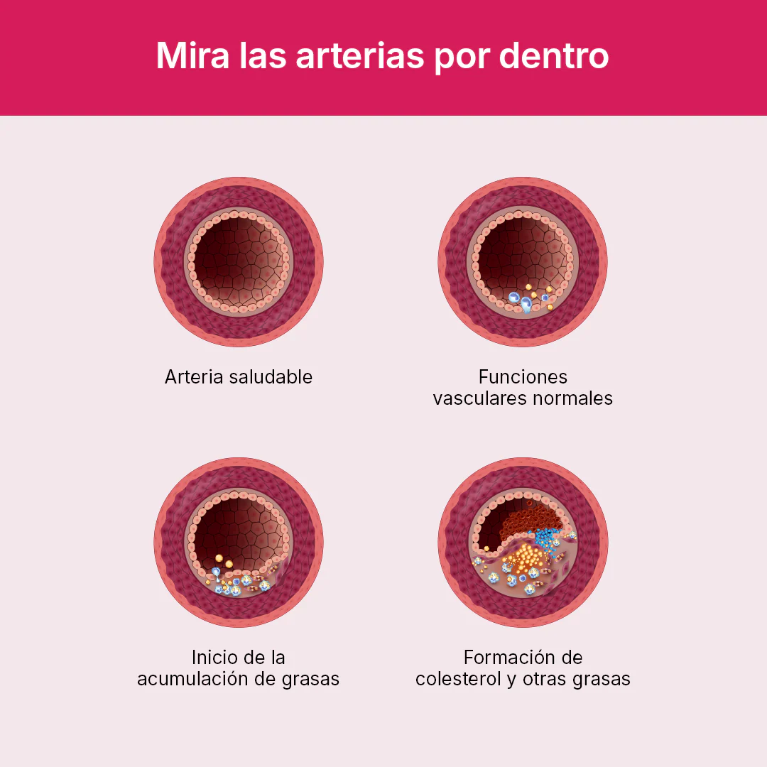 Cholesterol Plus - Image 8
