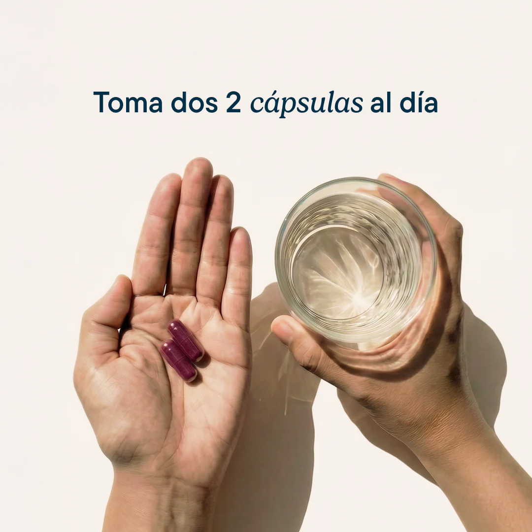 Circulación Plus Cápsulas - Image 4