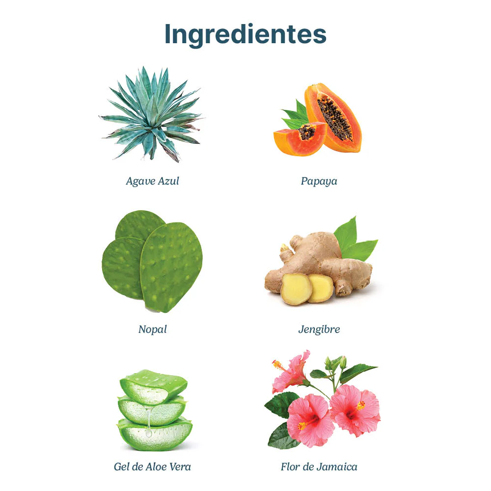 Digestión Plus | Agave Azul - Image 4