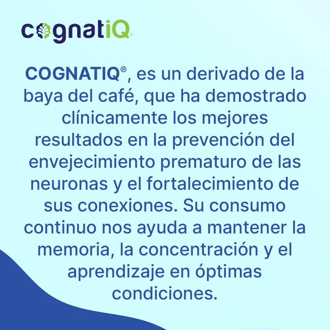 Memoria - Image 4