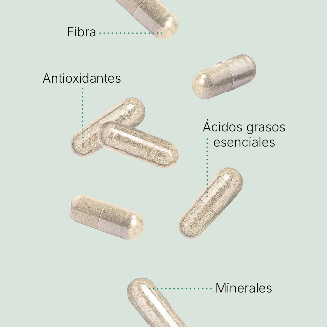 Nopal Chía - Image 3