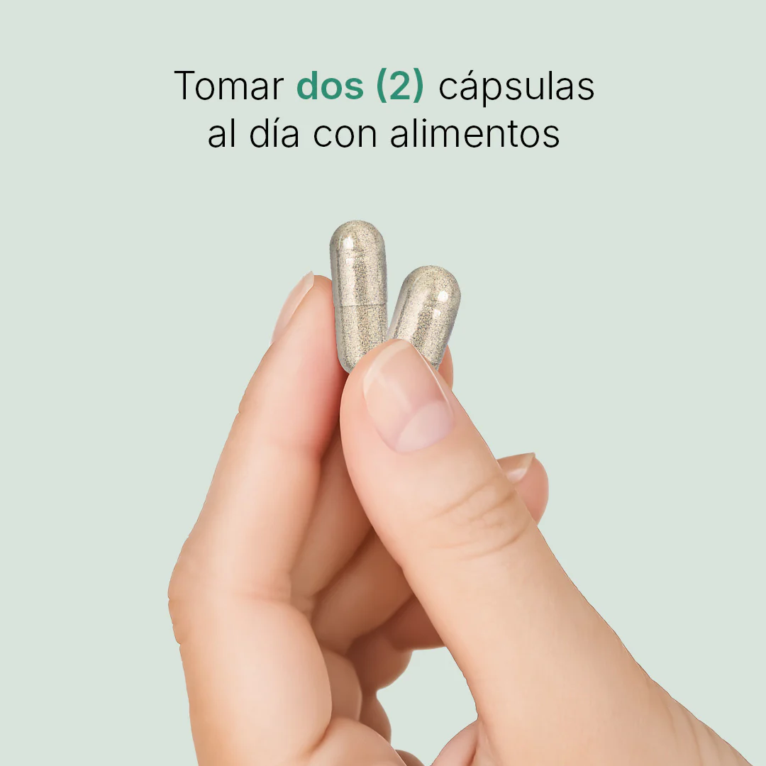 Nopal Chía - Image 4