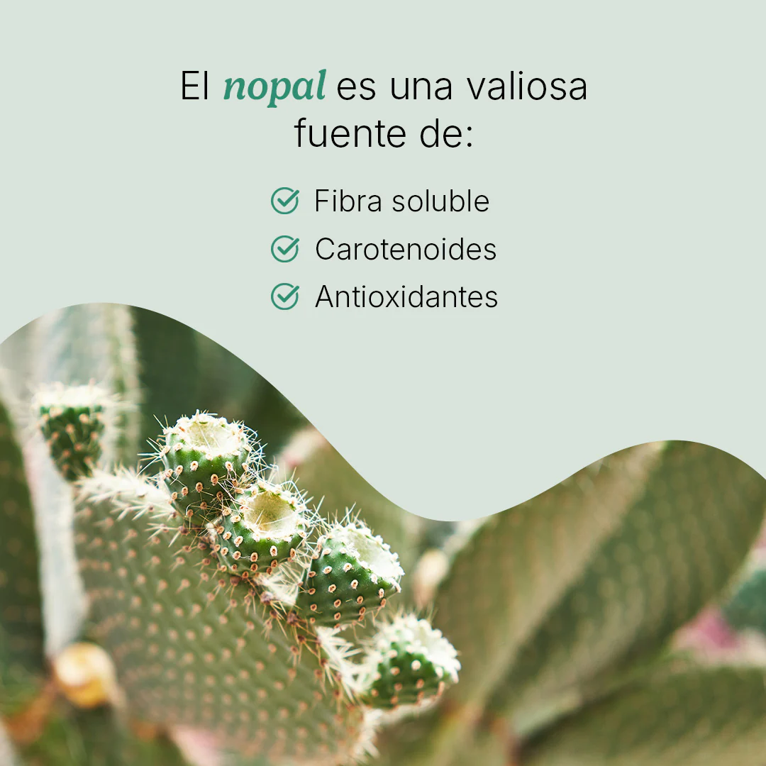 Nopal Chía - Image 5