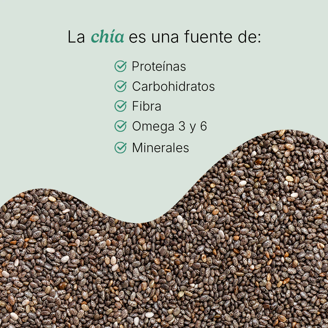 Nopal Chía - Image 6