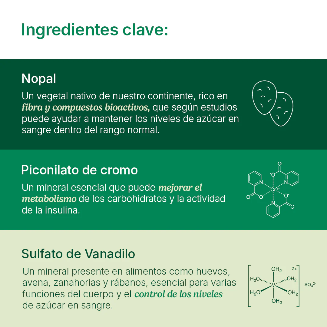 Super Nopal (En polvo) - Image 7