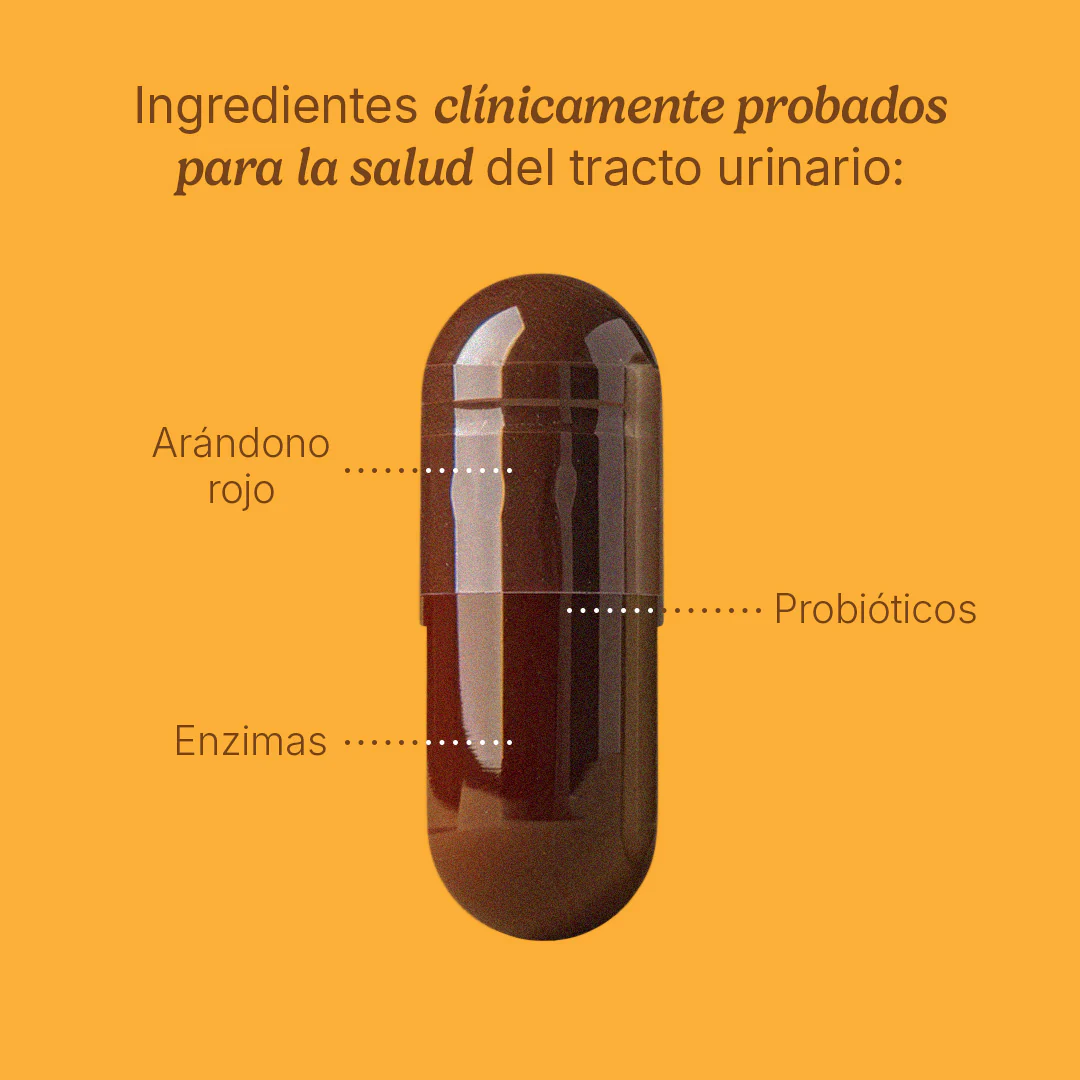 Urinary Tract - Image 4