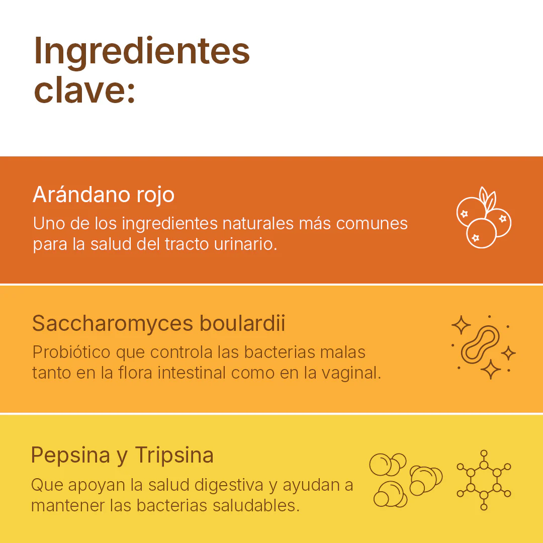 Urinary Tract - Image 6